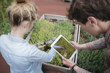 Man using digital tablet to photograph woman gardening - ISF04548