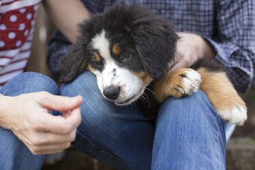 Paar, das im Freien sitzt und seinen Hund auf dem Schoß hält, Mittelteil - ISF04641