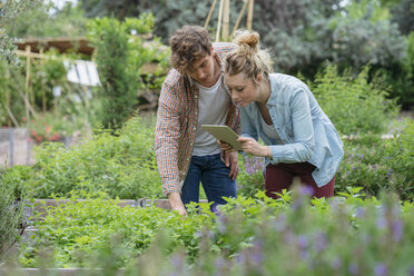 Junger Mann und Frau im städtischen Garten, die mit einem digitalen Tablet Pflanzen fotografieren - ISF04659