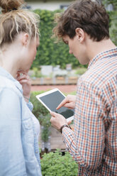 Ehepaar im Garten mit digitalem Tablet - ISF04662