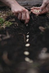 Woman planting seeds in soil - ISF04668