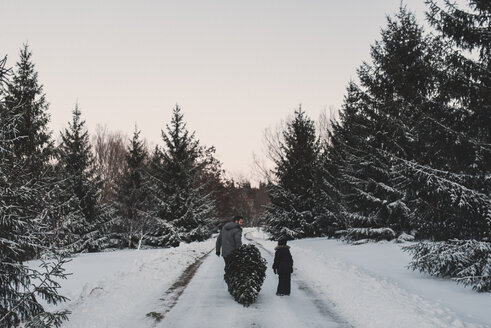 Vater und Tochter holen ihren eigenen Weihnachtsbaum - ISF04746