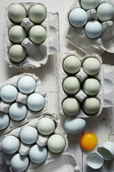 Blue and green chicken eggs in cartons - ISF04807