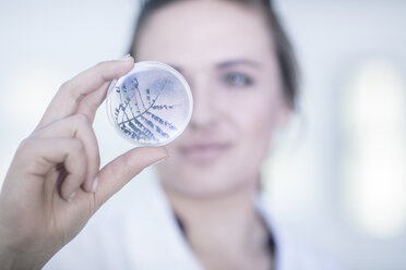 Laboratory worker examining contents of petri dish - ISF04981