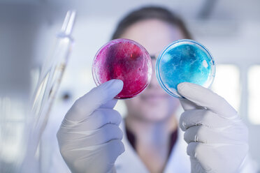 Laboratory worker examining two petri dishes side by side - ISF04983