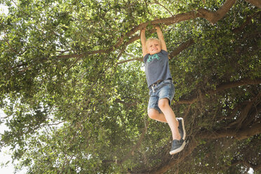 Boy hanging from tree branch looking at camera smiling - ISF05295