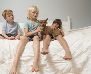 Kinder sitzen auf dem Bett und streicheln einen Hund - ISF05305