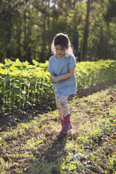 Young girl walking on farm, holding hands together - ISF05416