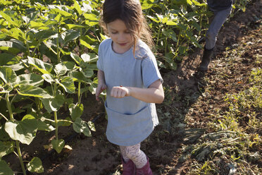 Junges Mädchen, das auf einem Bauernhof spazieren geht und einen Marienkäfer auf der Hand betrachtet - ISF05422
