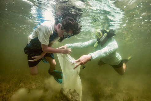 Mother and son hunting scallops together - ISF05569