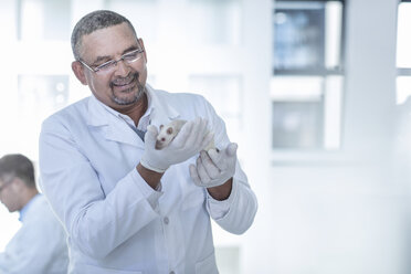 Laborant hält weiße Ratte, lächelnd - ISF05649