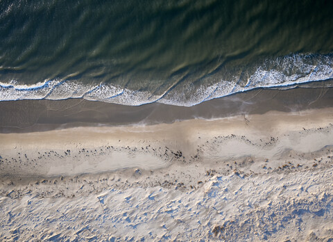 USA, Virginia, Luftaufnahme von Virginia Coast Reserve, Atlantischer Ozean, Strand, lizenzfreies Stockfoto