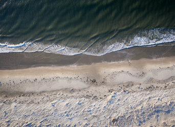 USA, Virginia, Luftaufnahme von Virginia Coast Reserve, Atlantischer Ozean, Strand - BCDF00352