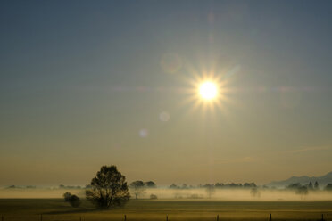 Germany, Bavaria, Upper Bavaria, Bad Feilnbach, morning fog over moor - LBF01937