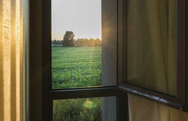 Blick aus dem Fenster auf eine grüne Wiese bei Sonnenuntergang - ISF05899