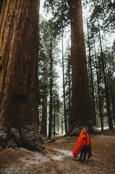 Männlicher Wildcamper in Rot gewickelt schlafend im Sequoia National Park, Kalifornien, USA - ISF06009