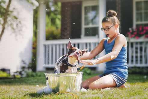 Mädchen wäscht Hund in Eimer - ISF06053