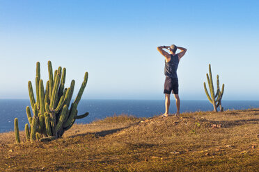 Mann steht auf einem Berggipfel und betrachtet die Aussicht, Rückansicht, Jericoacoara National Park, Ceara, Brasilien - ISF06067