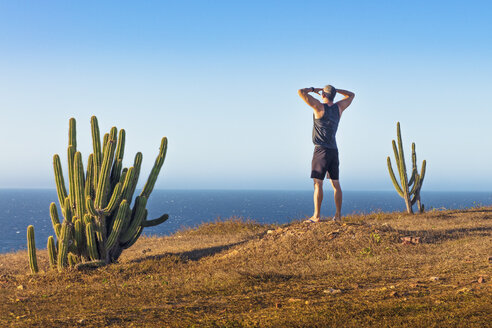 Mann steht auf einem Berggipfel und betrachtet die Aussicht, Rückansicht, Jericoacoara National Park, Ceara, Brasilien - ISF06067