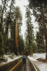 Rückansicht eines jungen männlichen Wanderers mit Blick auf einen verschneiten Wald, Sequoia National Park, Kalifornien, USA - ISF06194