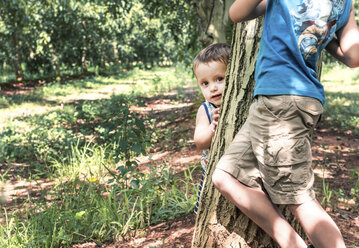 Brothers playing in garden - ISF06229