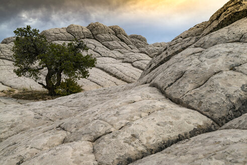 White Pocket, Paria Plateau, Arizona, USA - CUF13447