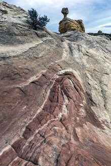 White Pocket, Paria Plateau, Arizona, USA - CUF13449