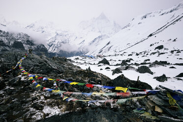 ABC trek (Annapurna Base Camp trek), Nepal - CUF13469
