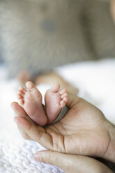 Father holding baby boy's feet, close-up - ISF06396