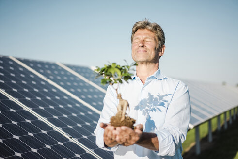 Mature man looking at privet, solar plant - MOEF01126