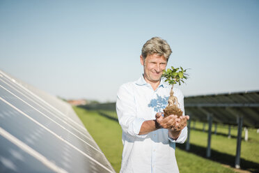 Mature man looking at privet, solar plant - MOEF01162