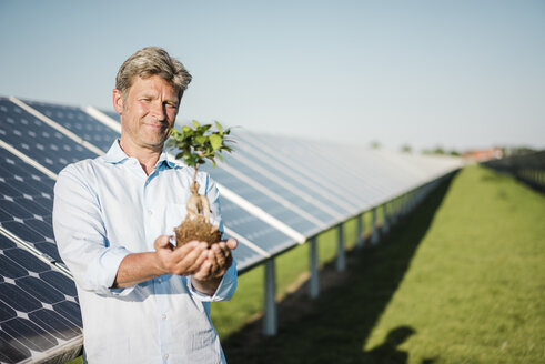 Älterer Mann hält Liguster, Solaranlage - MOEF01163