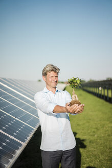 Älterer Mann betrachtet Liguster, Solaranlage - MOEF01164