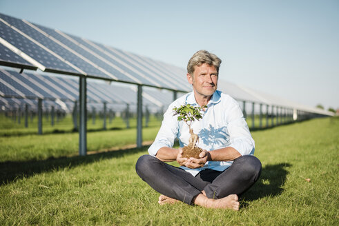 Älterer Mann hält Liguster, Solaranlage - MOEF01168