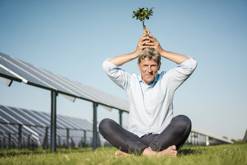 Mature man with privet on the head, solar plant - MOEF01169