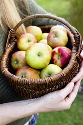 Woman holding basket of apples, close up - CUF13759