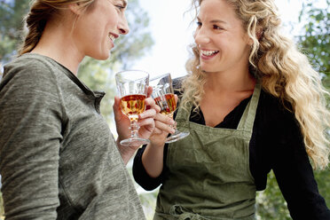 Zwei Frauen stoßen mit Weingläsern an - CUF13764