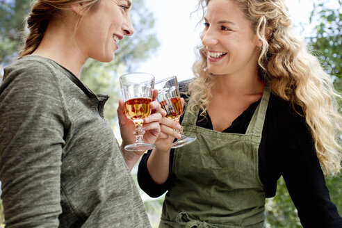 Two women toasting with wine glasses - CUF13764