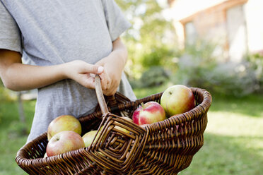 Girl holding basket of apples - CUF13816
