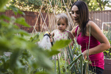 Mutter und Tochter im Garten, gemeinsam mit einem Schlauch Pflanzen gießen - CUF13946