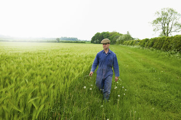 Farmer strolling and inspecting green field - CUF14053