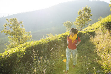 Junge Frau inmitten von Teeplantagen in der Nähe von Munnar, Kerala, Indien - CUF14498
