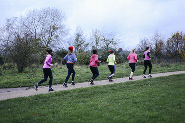 Six adult female runners running on park path - CUF14596