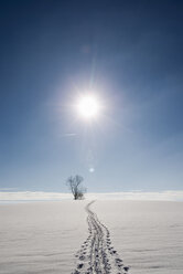 Fußspuren in schneebedeckter, sonnenbeschienener Landschaft, Berg, Bayern, Deutschland - CUF14678