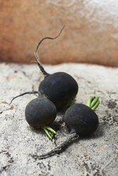 Three whole black radish - CUF14697