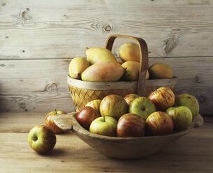 Schale und Korb mit Äpfeln und Mangos - CUF14714