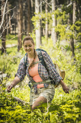 Junge Wanderin beim Wandern durch das Unterholz des Waldes, Red Lodge, Montana, USA - CUF14909