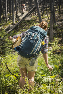 Rückansicht einer jungen Wanderin, die durch das Unterholz des Waldes wandert, Red Lodge, Montana, USA - CUF14912