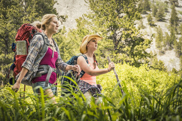 Young woman and teenage girl hiker hiking through long grass, Red Lodge, Montana, USA - CUF14922