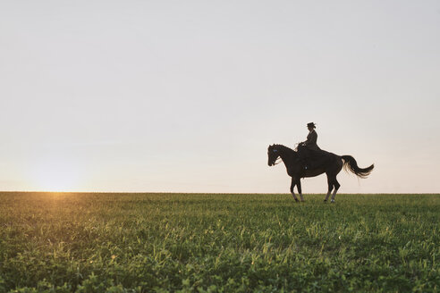 Silhouettiertes Dressurpferd und Reiterin beim Training auf einem Feld bei Sonnenuntergang - CUF15130